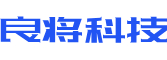 阆中市软件开发公司